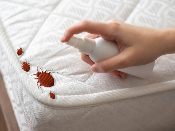 Pest Control Cost in Seneca Knolls, NY