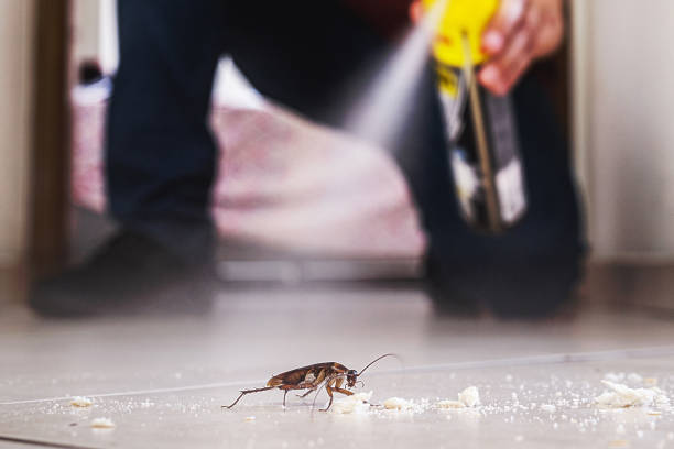 Professional Pest Control in Seneca Knolls, NY